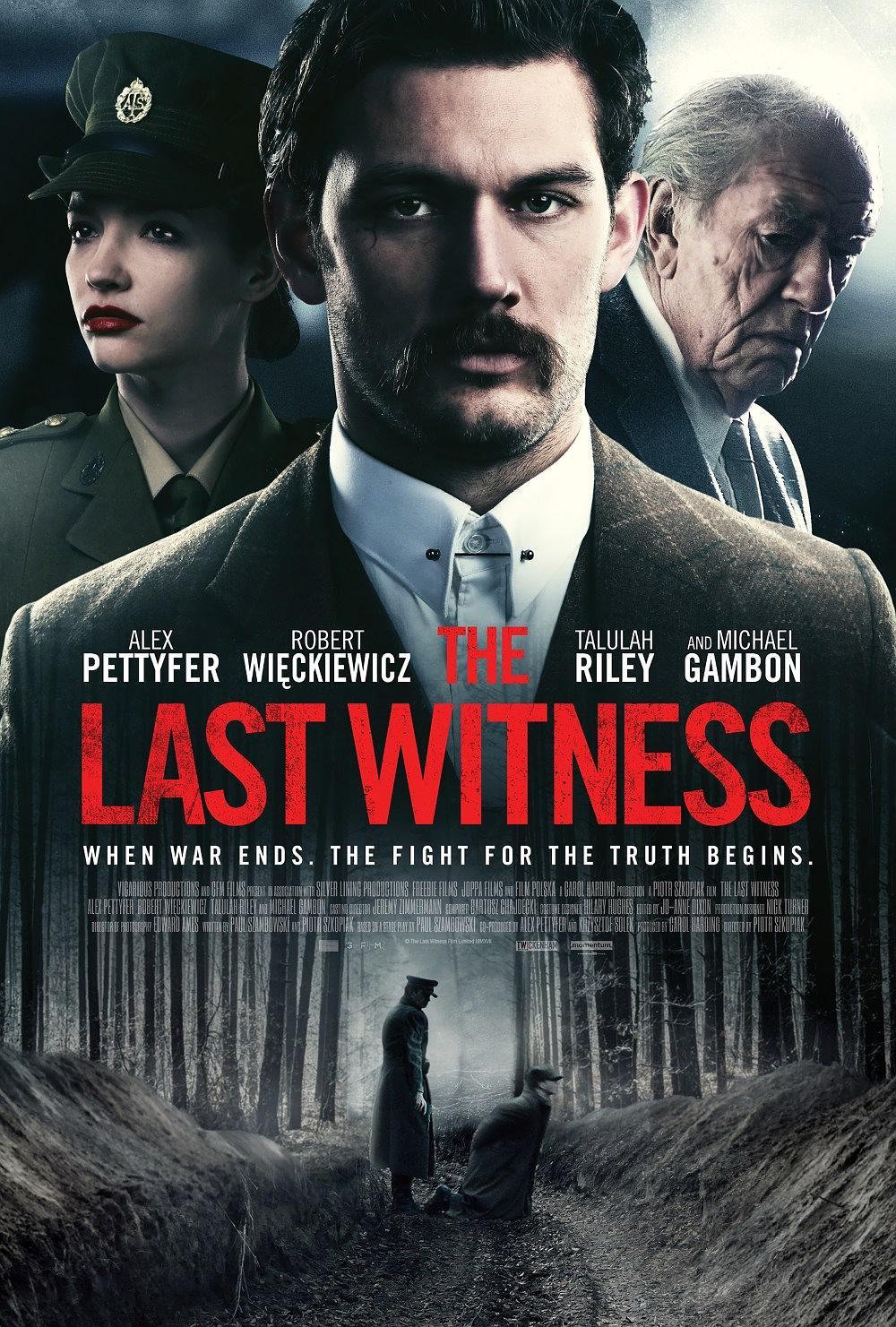 The Last Witness海报