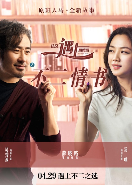 北京遇上西雅图2电影版海报