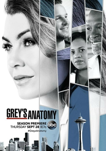 Grey s Anatomy Season 14海报