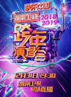 2019湖南卫视跨年演唱会海报