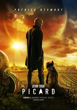 Star Trek: Picard Season 1海报