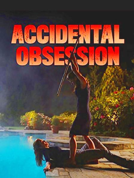 Accidental Obsession海报
