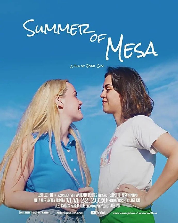 Summer of Mesa海报