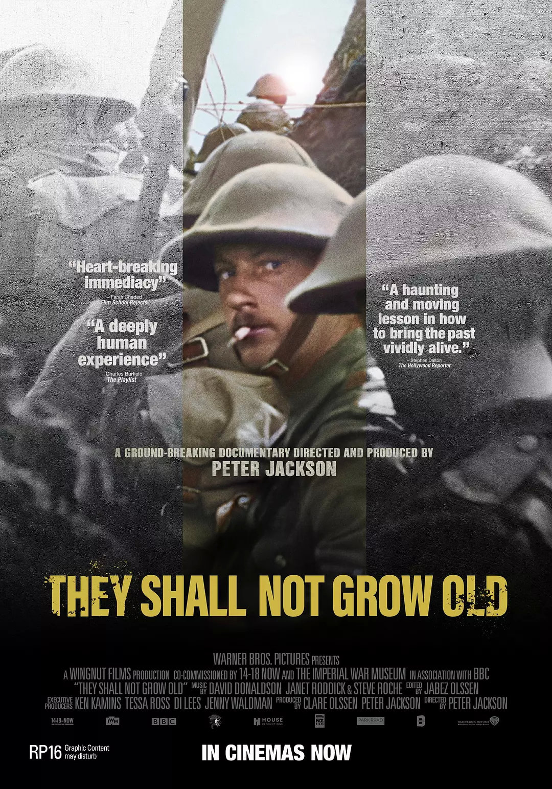 They Shall Not Grow Old / 他们不会变老 / 他们永远不会变老海报
