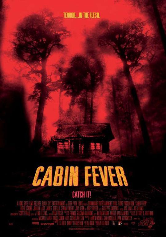 舱热症 / Cabin Fever海报